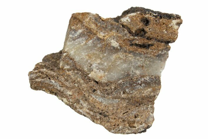 Rare North Pole Dome Stromatolite Piece - Billion Years Old #315680